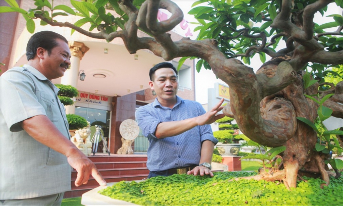 Khu Du lịch Dũng Tân đồng hành với chương trình Người Việt Nam đi du lịch Việt Nam